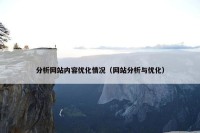 分析网站内容优化情况（网站分析与优化）