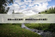 湖南seo优化案例？ 湖南有实力sem优化推荐？