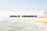 东莞网站公司？ 东莞做网站网络公司？