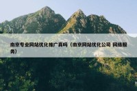 南京专业网站优化推广真吗（南京网站优化公司 网络服务）