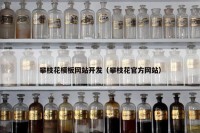 攀枝花模板网站开发（攀枝花官方网站）