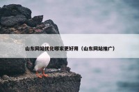 山东网站优化哪家更好用（山东网站推广）
