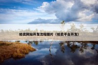 拍卖网站开发流程图片（拍卖平台开发）