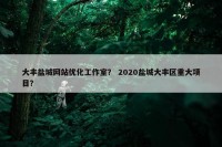 大丰盐城网站优化工作室？ 2020盐城大丰区重大项目？