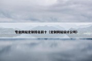 专业网站定制排名前十（定制网站设计公司）