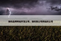 潍坊品牌网站开发公司，潍坊做公司网站的公司