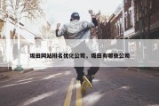 坂田网站排名优化公司，坂田有哪些公司