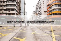 无锡网站开发系统？ 无锡网络公司无锡网站设计？