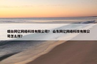 烟台网亿网络科技有限公司？ 山东网亿网络科技有限公司怎么样？