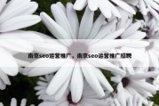 南京seo运营推广，南京seo运营推广招聘