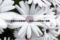 南京seo运营推广，南京seo运营推广招聘