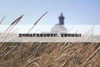 宜州网站开发建设哪家好，宜都网站设计