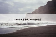 SEO什么难学吗，seo难不难学