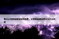 泰兴公司网站建设如何收费，公司网站建设费计入什么科目