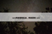 seo网络营销实战，网络营销 seo