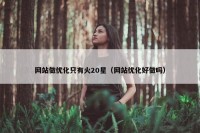网站做优化只有火20星（网站优化好做吗）