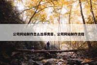 公司网站制作怎么选择类目，公司网站制作流程