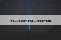 天津seo营销推广（天津seo营销推广公司）
