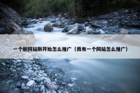一个新网站刚开始怎么推广（我有一个网站怎么推广）