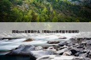 网站seo主要做什么（网站seo技术能不能赚钱）