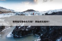 新网站引擎优化方案？ 网站优化提升？