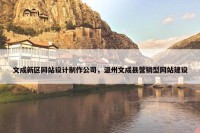 文成新区网站设计制作公司，温州文成县营销型网站建设