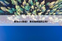 黄石seo教程？ 黄石做网站的公司？