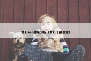 黄石seo排名分析（黄石十强企业）