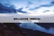 整形seo好不好做（做整形行业）