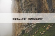 化龙巷seo改版？ 化龙巷论坛官网？