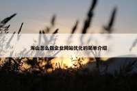 海山怎么做企业网站优化的简单介绍
