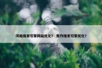 河南搜索引擎网站优化？ 焦作搜索引擎优化？