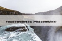 小微企业营销网站优化建议（小微企业营销模式创新）