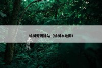 榆树源码建站（榆树本地网）