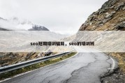 seo短期培训骗局，seo的培训班