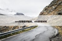 seo短期培训骗局，seo的培训班