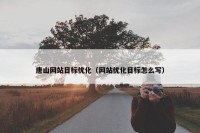 唐山网站目标优化（网站优化目标怎么写）