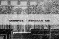 沈阳优化网站推广？ 沈阳网站优化推广方案？