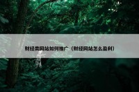 财经类网站如何推广（财经网站怎么盈利）