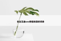 包含王通seo教程收录的词条