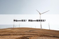 钟山seo优化？ 网站seo搜索优化？
