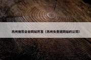 苏州推荐企业网站开发（苏州负责建网站的公司）