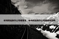 蚌埠网站制作公司哪里有，蚌埠网站制作公司哪里有招聘