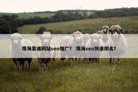 珠海靠谱网站seo推广？ 珠海seo快速排名？