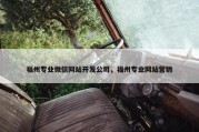 福州专业微信网站开发公司，福州专业网站营销