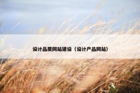 设计品质网站建设（设计产品网站）