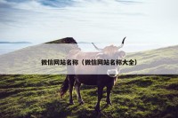 微信网站名称（微信网站名称大全）