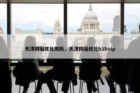 天津网站优化简历，天津网站优化b2bvip