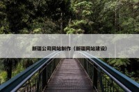 新疆公司网站制作（新疆网站建设）
