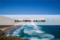 永清seo代理机构，永清seo快排